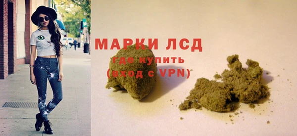 тгк Алзамай