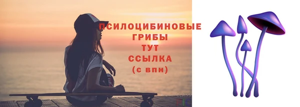 сатива Алексеевка