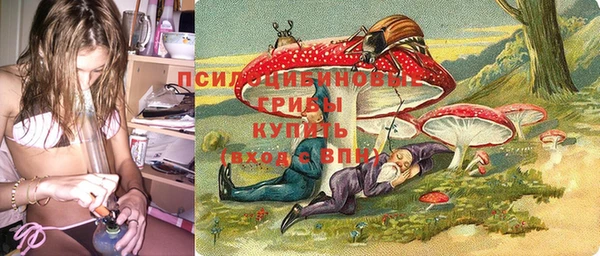 сатива Алексеевка
