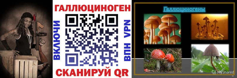 где можно купить наркотик Ардон Галлюциногенные грибы MAGIC MUSHROOMS